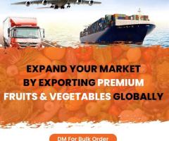 Import Export Business In India | Easyway Impex