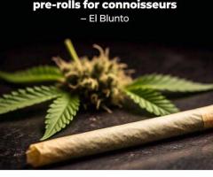 Best cannabis pre-rolls for connoisseurs