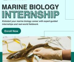 Marine Biology Internship