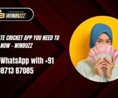 The Ultimate Cricket App You Need to Download Now - Winbuzz