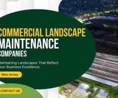 Commercial Landscape Maintenance Companies