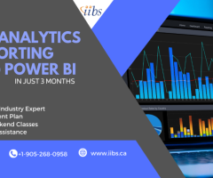 Master Data Analytics and Reporting with Power BI at IIBS – Your Gateway to Industry Leadership!