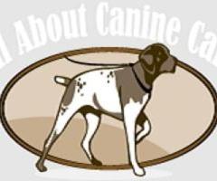 All About Canine Care