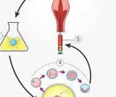 Surrogacy Near Me - Best Doctors for Artificial Insemination - Top Fertility Specialists