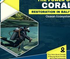 Discover the Power of Coral Restoration in Bali’s Ocean Ecosystem