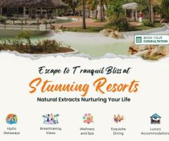 Best Resorts and Wellness Retreats in Kerala and India