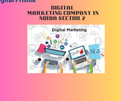 Top Digital Marketing Agency in Noida