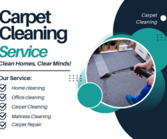 Transform Your Carpets with Toowong's Best Cleaning Services | Book Now