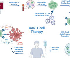 Oorsig van CAR-T Selterapie vir Kankerbehandeling