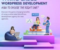 White Label WordPress Development Services for Agencies