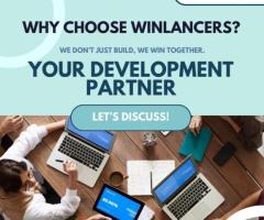 Winlancer: Empowering Businesses with Innovative IT Development Solutions