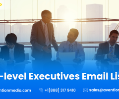 Get Verified C-Level Executives Email List