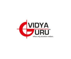 Bank PO Online Coaching: Your Path to Success with Online Vidya Guru