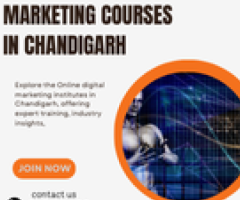 Online Digital Marketing Course In Chandigarh