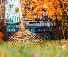 What does your fall cleanup service in Clarence, NY, include?