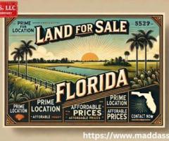 Find Your Premium Land for Sale in Florida