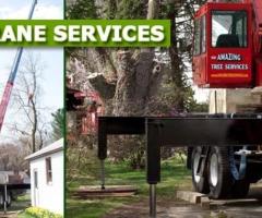 Crane Services in NJ – Amazing Tree Services