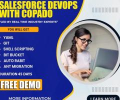 Salesforce DevOps Online Training | Salesforce DevOps Course