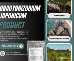 Bradyrhizobium Japonicum Wholesale – Safe & Easy to Use!