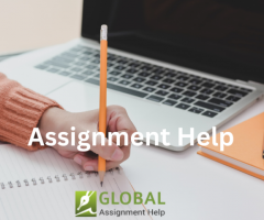 Best online assignment writing services in the USA