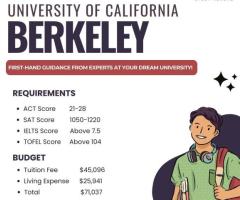 UC Berkeley international students