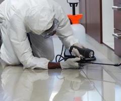 Professional Pest Control Company in Jadavpur – Jay Lokenath Pest Control