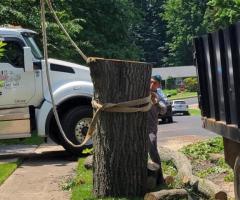 Reliable Tree Removal Service in Leesburg, VA, with Safety in Mind