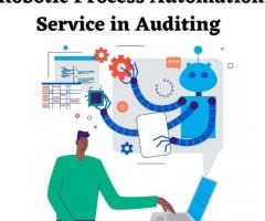 Robotic Process Automation Service in Auditing - 1