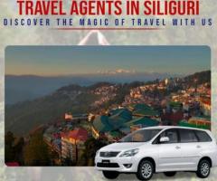 Travel Agents in Siliguri | Goodwill Tour and Travel