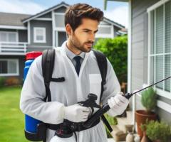 Searching for Effective Pest Control Solutions in Gold Coast?