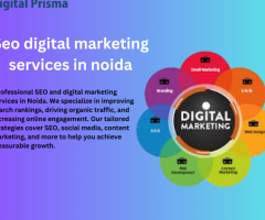 Professional SEO & Digital Marketing Services in Noida