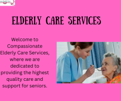 Trusted Elderly Care Services – Compassionate Support for Seniors