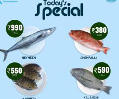 Today's Special