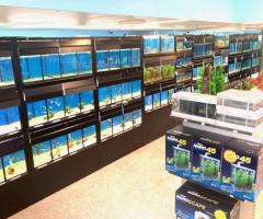 Aquarium shop brisbane