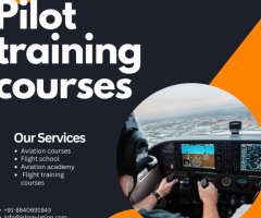 Pilot license training