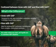 SAP S/4HANA Public Cloud – Ikyam’s Expertise in Seamless ERP Adoption