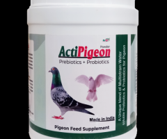 Refit Animal Care ActiPigeon - Enhance Performance