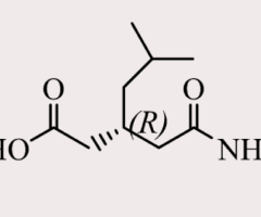 (R)-(-)-3-Carbamoymethyl-5-Methylhexanoicacid Manufacturers