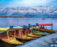 Kashmir Tour Packages from Delhi by NatureWings Holidays Ltd