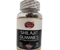 Experience Enhanced Energy with Shilajit Gummies