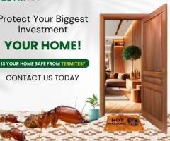 Protect Your Home from Termites | PestoNIX Pest Control