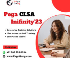 Pega Lead System Architect Infinity'23 Training By IT Experts | PegaGang