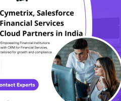 Salesforce Financial Cloud Partners, India