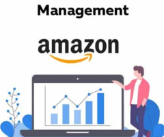 Maximizing ROI with Hyperzon: Expert Amazon PPC Management