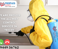 Best Pest control in Trichy