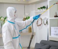 Pest Control Management Services Delhi NCR