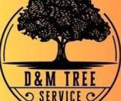 D&M Tree Service