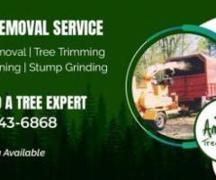 Tree Removal Estimate in NJ – Amazing Tree Services