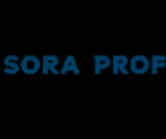 SORA Classes Online - Training And Renewal For NJ Security Guards