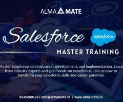 AlmaMate Info Tech - Best Salesforce Training